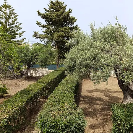 Il Giardino Di Rosa *