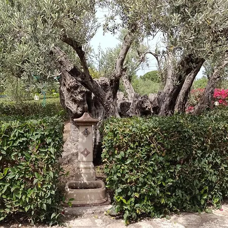 Il Giardino Di Rosa * Castellammare del Golfo