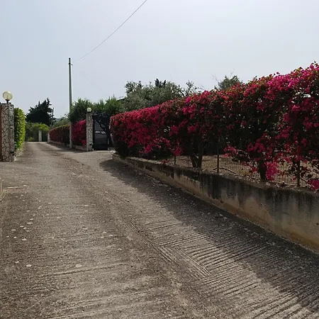 Il Giardino Di Rosa- 5 Min From The Sea-fraginesi