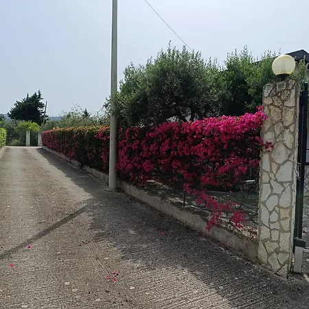 Il Giardino Di Rosa- 5 Min From The Sea-fraginesi Villa *