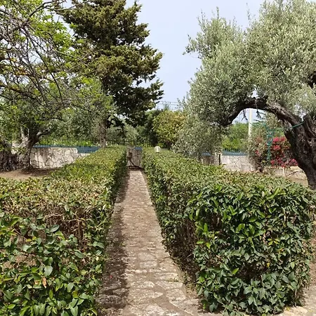 Il Giardino Di Rosa- 5 Min From The Sea-fraginesi * Castellammare del Golfo