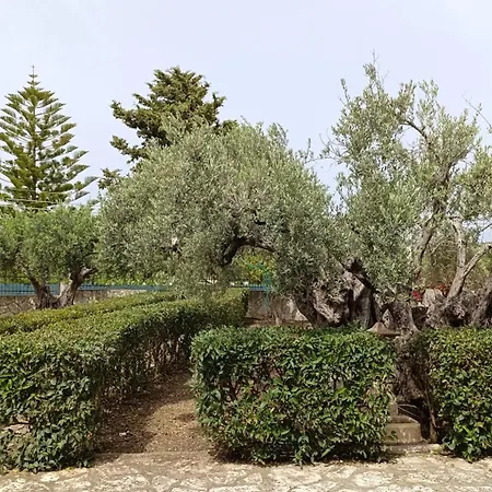 Villa Il Giardino Di Rosa- 5 Min From The Sea-fraginesi